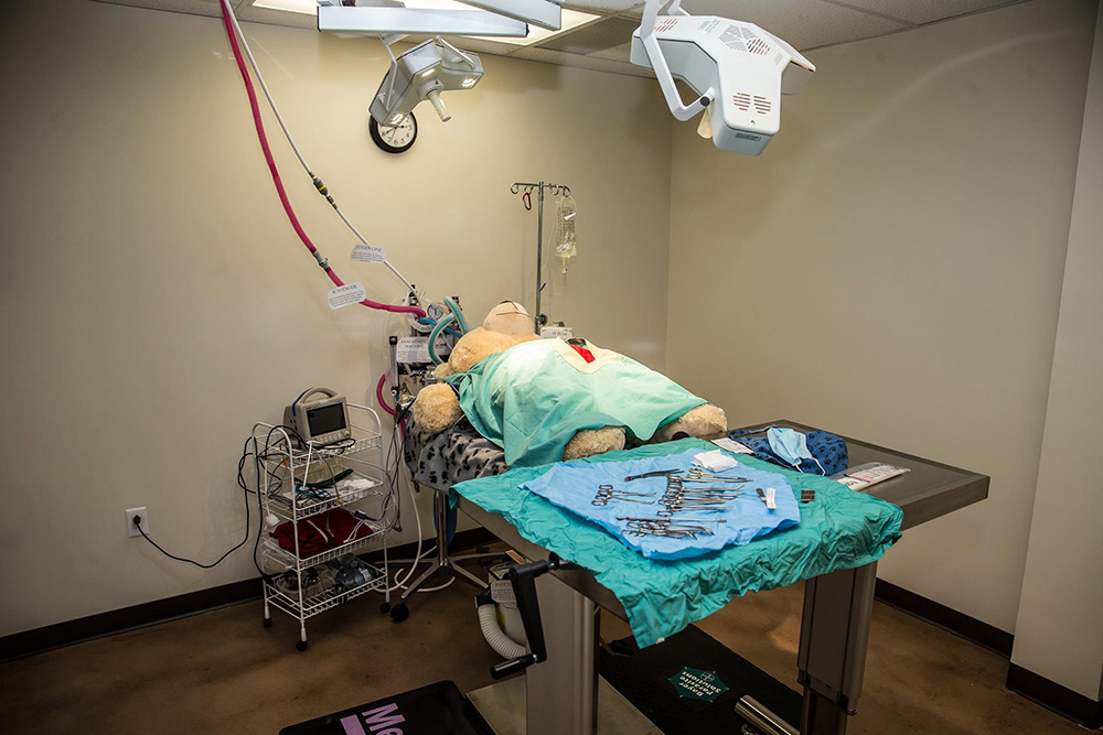 Burnside Veterinary Hospital Operating Room