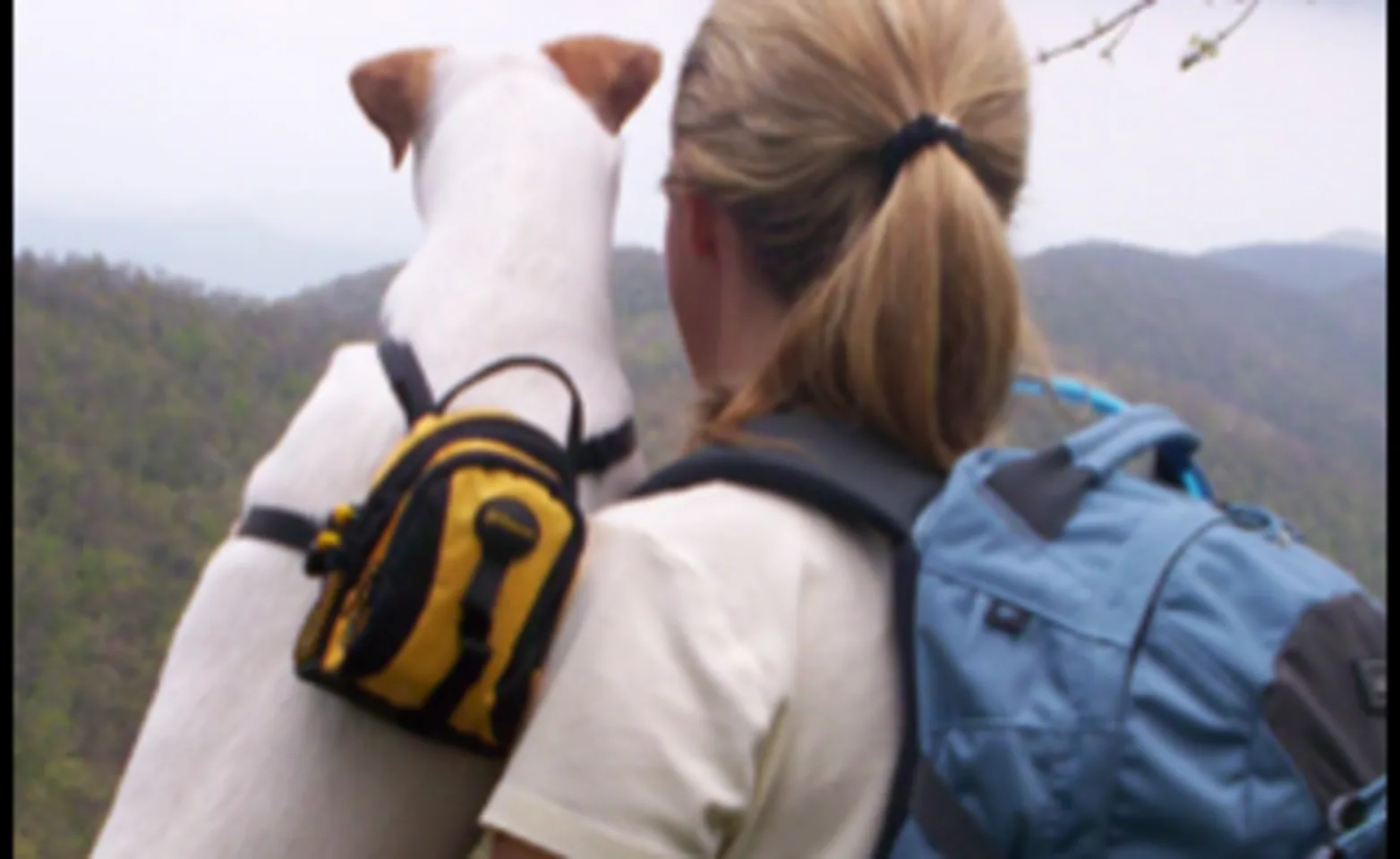 Woman and Dog Woman and Dog