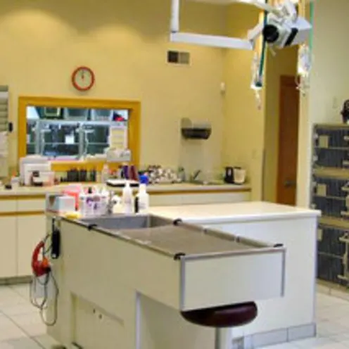 General Exam Area General Exam Area