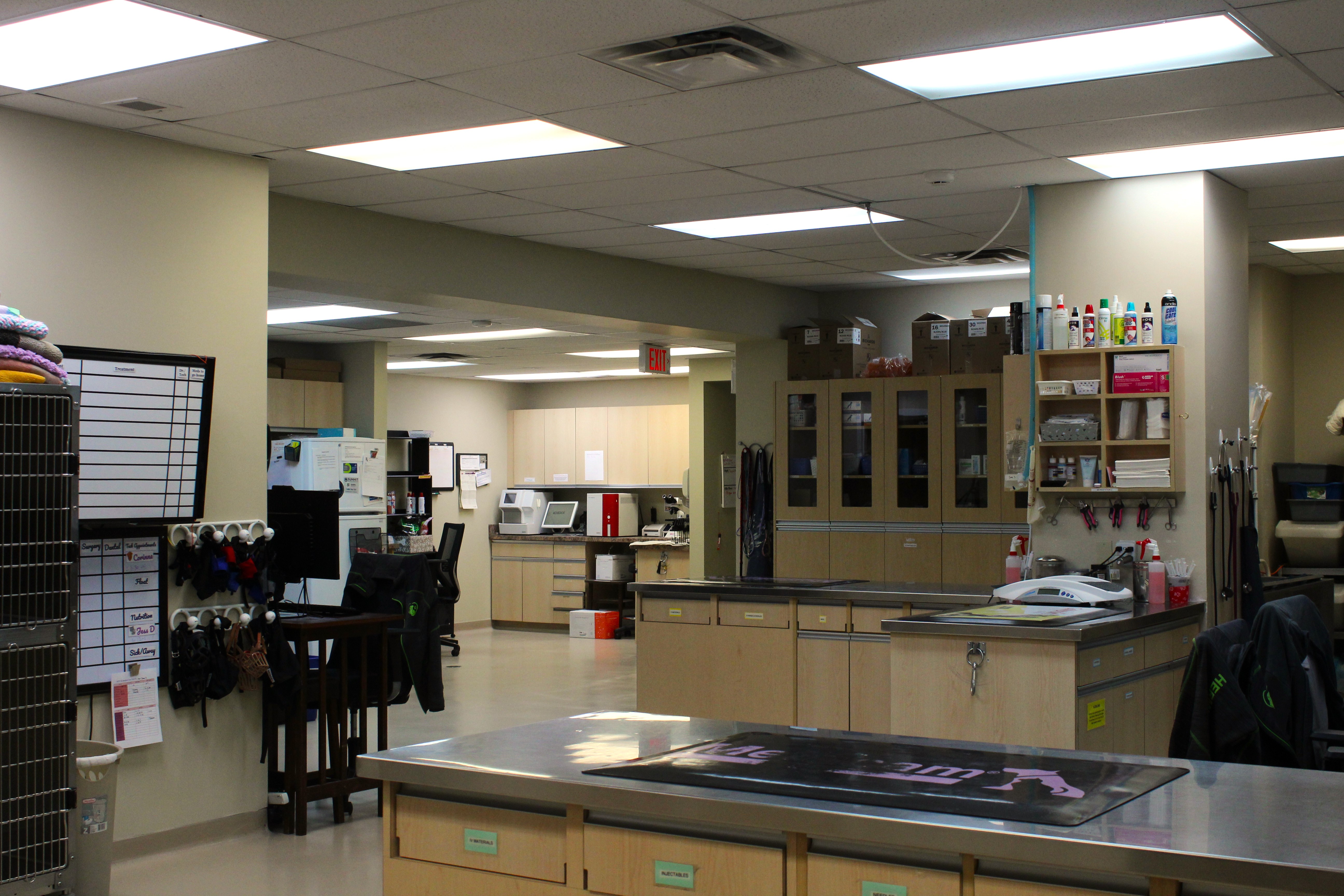 An examination room with an exam table. 