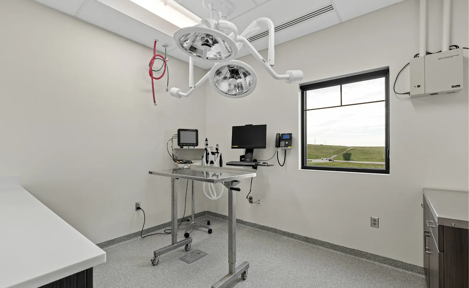 Animal Clinic of Rapid City Exam Room Animal Clinic of Rapid City Exam Room