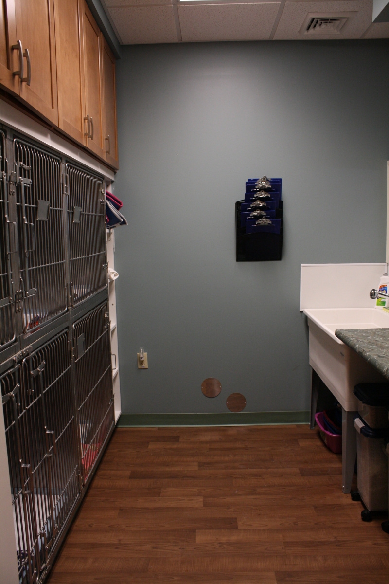 Cat crates inside Northampton Veterinary Clinic