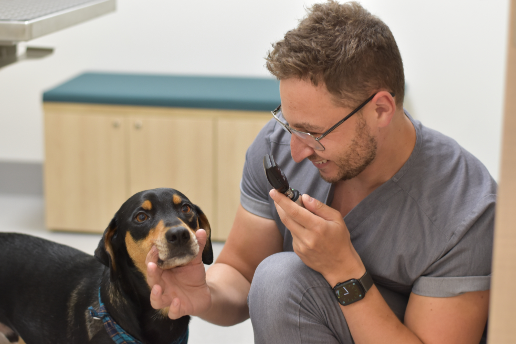Dr. Durov Examining a Patient