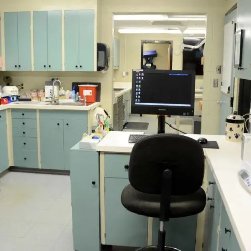Oak Knoll Animal Hospital technician area with computers, cabinets, laboratory equipment
