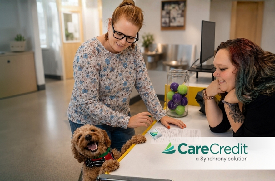 Dog and Staff at desk - Care Credit