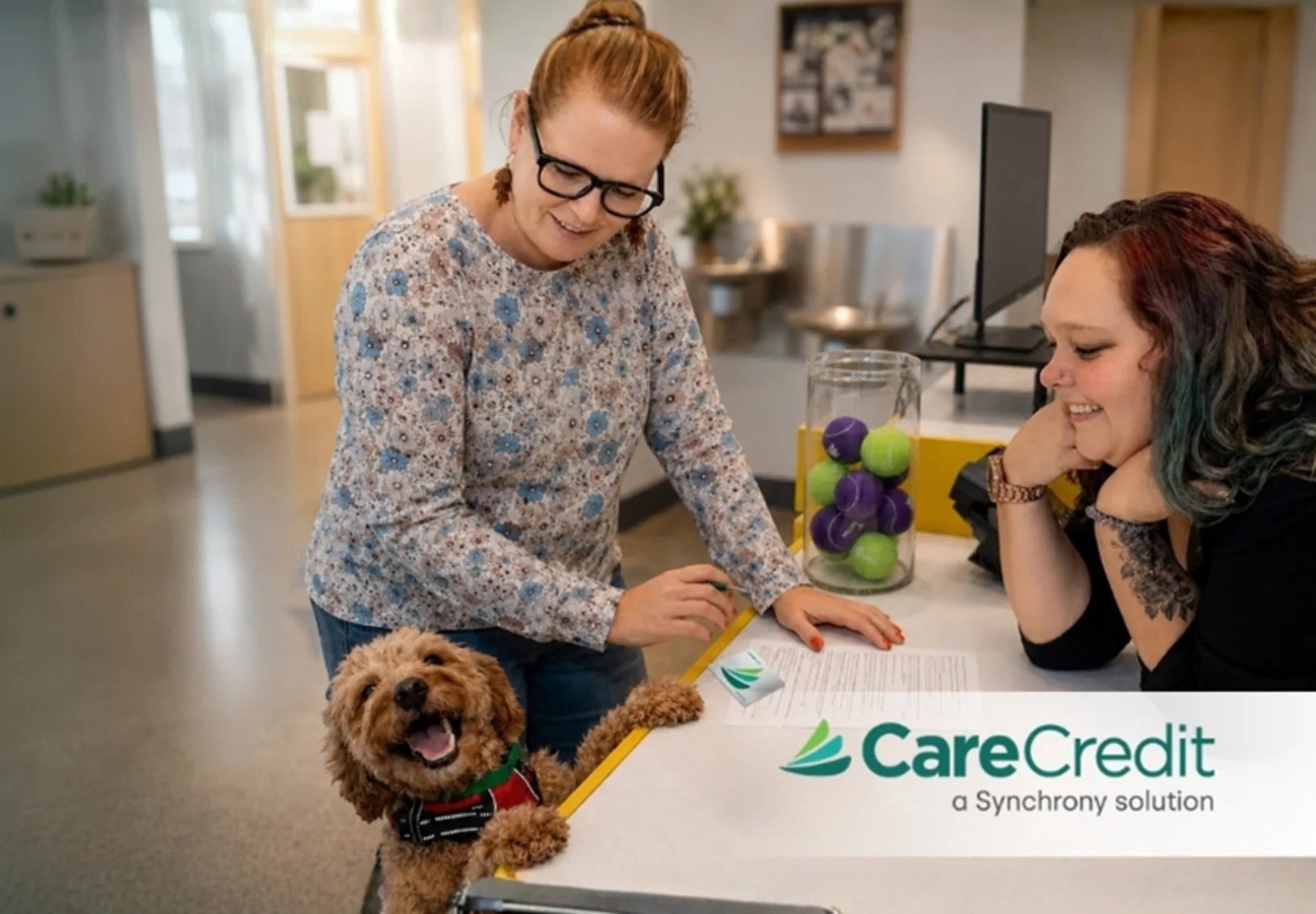 Dog and Staff at desk - Care Credit Dog and Staff at desk - Care Credit