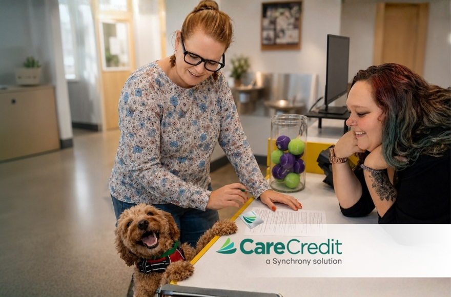 Dog and Staff at desk - Care Credit