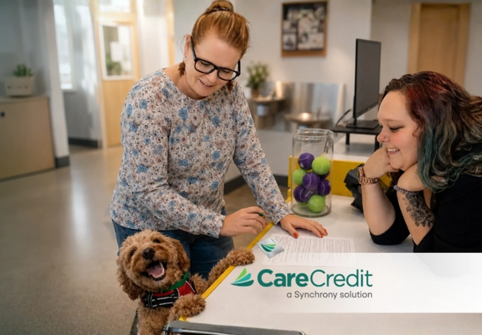 Dog and Staff at desk - Care Credit Dog and Staff at desk - Care Credit