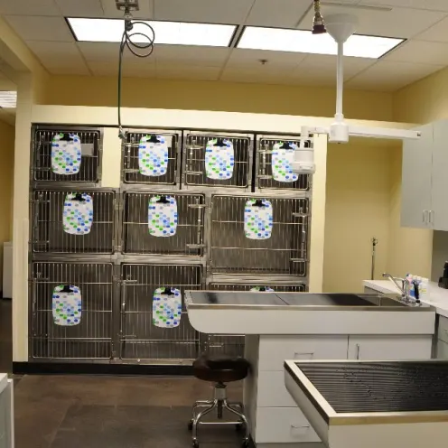 Dog kennels and exam tables at Sequoia & Woodburn Veterinary Clinics