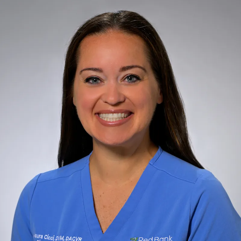 Maura C. Cicci Maura C. Cicci