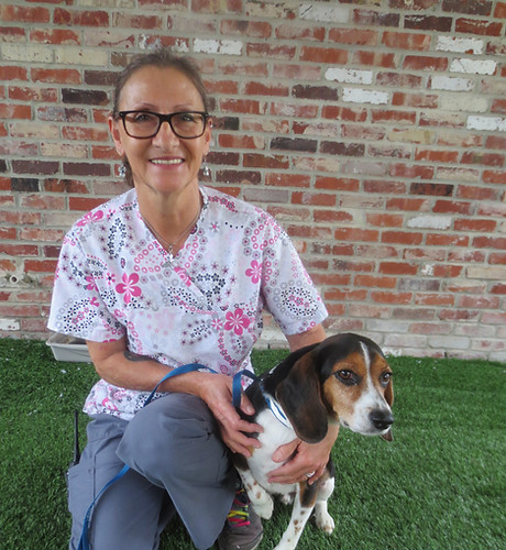 Phyllis Sulphur Animal Clinic