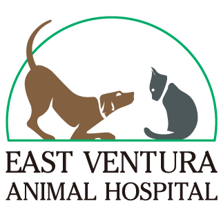 East Ventura Animal Hospital WebsiteFavicon
