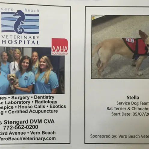 Vero Beach Veterinary Hospital flyer