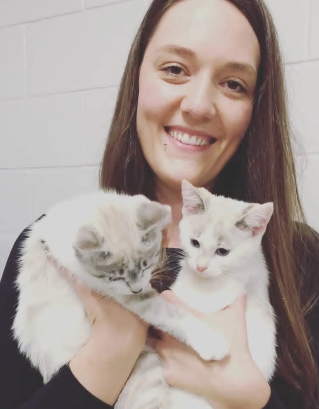 Dr. Kaitlyn Watts holding two kittens Dr. Kaitlyn Watts holding two kittens