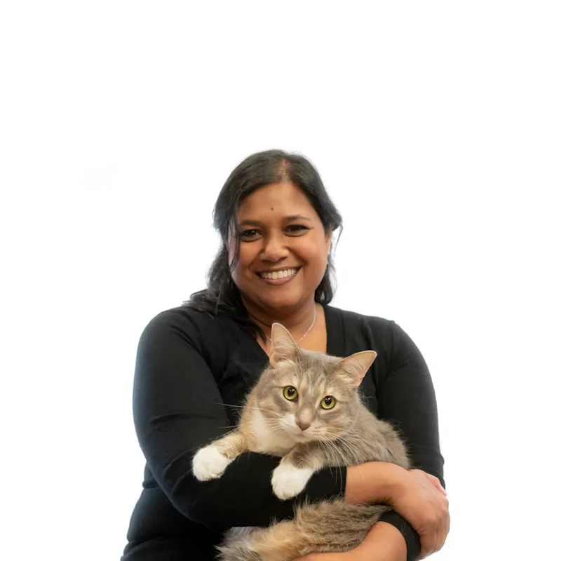 Dr. Jyothi Pedapati Dr. Jyothi Pedapati