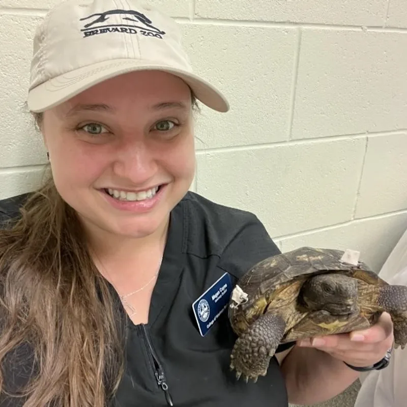 Dr. Megan Coyne Dr. Megan Coyne