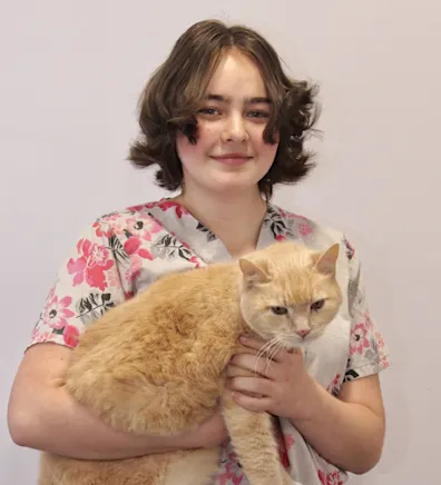 Averi Averi