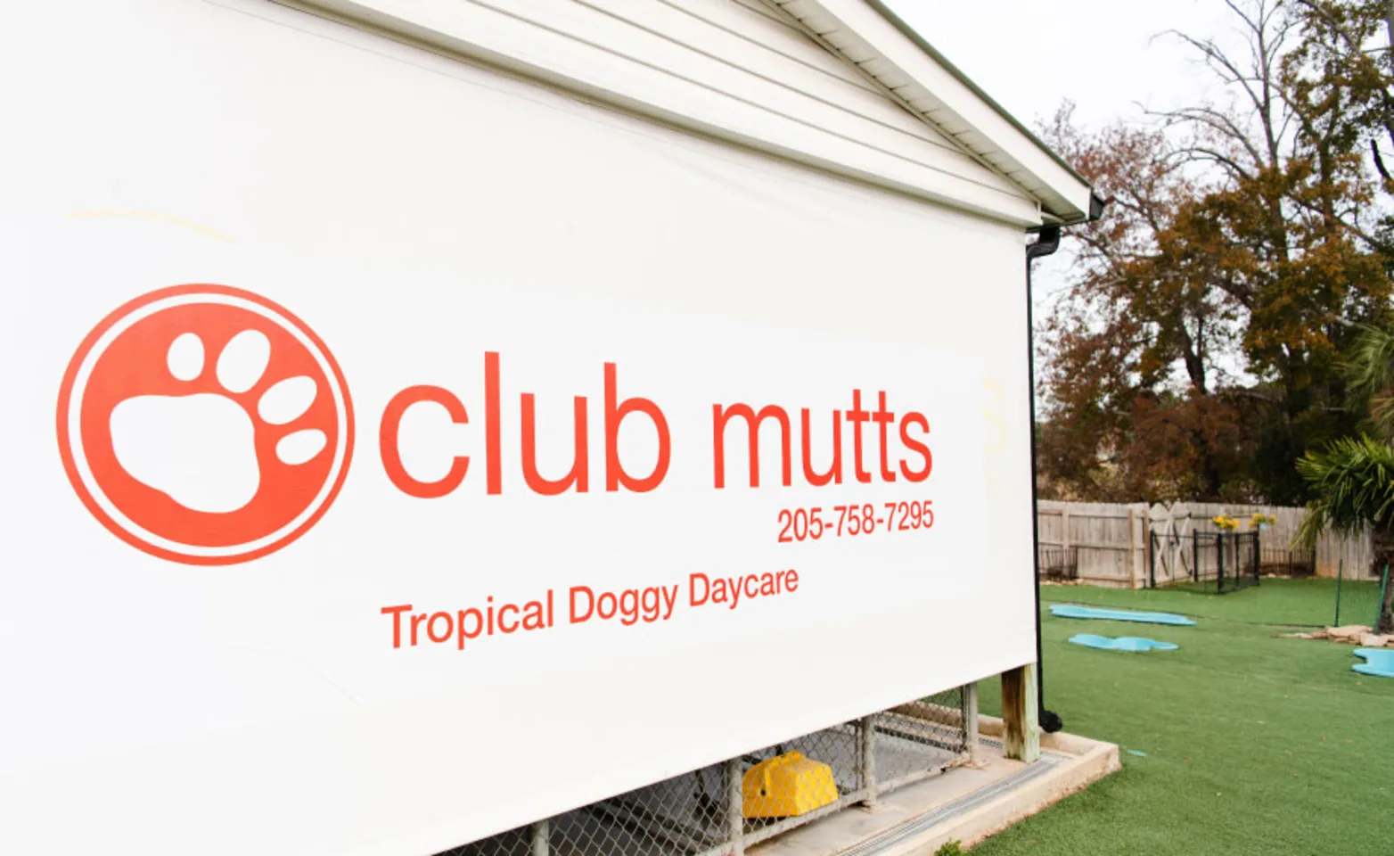 Club Mutts sign and turf area with tropical setting