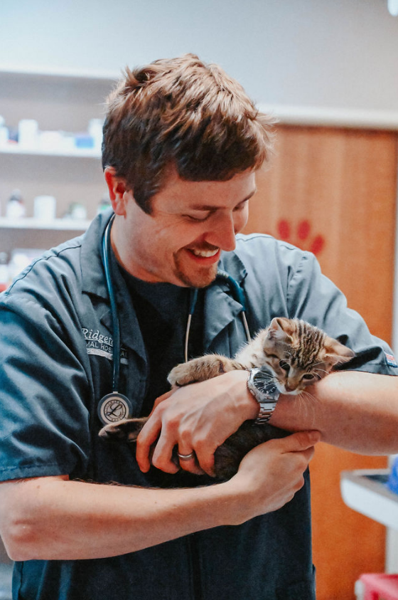 Doctor holding a kitten