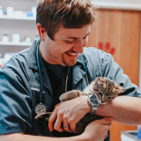 Doctor holding a kitten