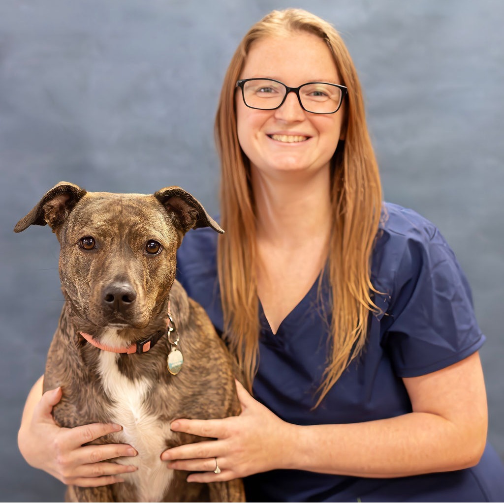 Lilly Gordon, Veterinary Services
