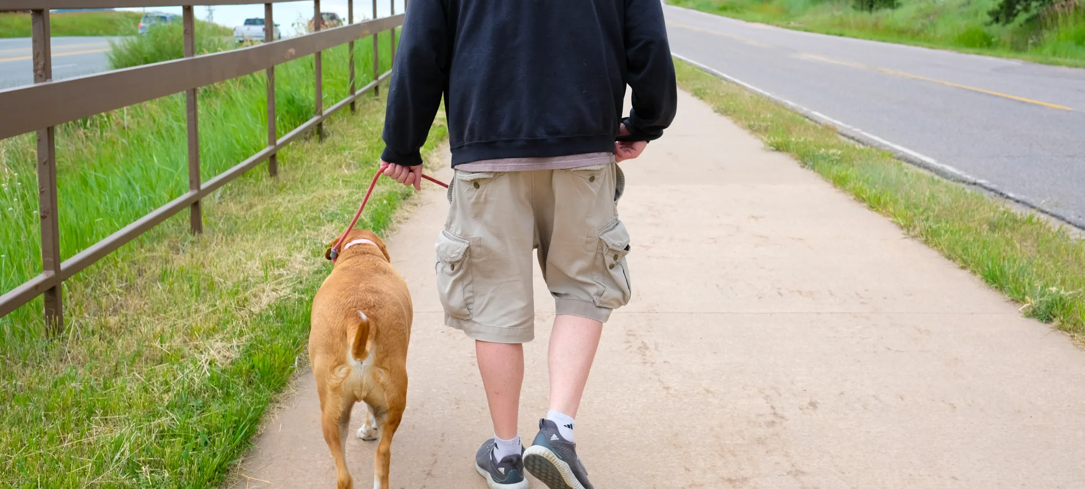 Dog Walk Dog Walk