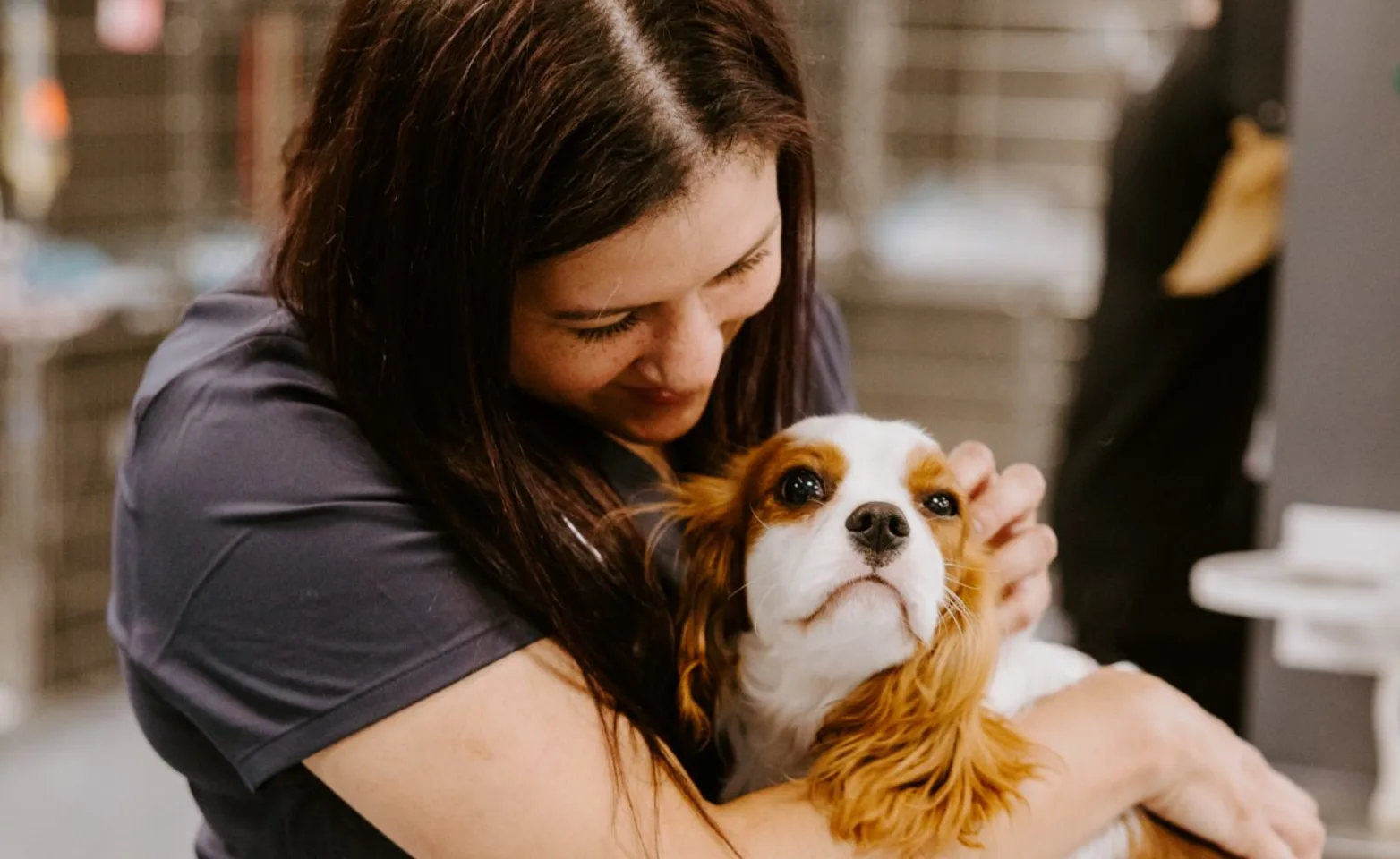 Staff hugging a dog. Staff hugging a dog.