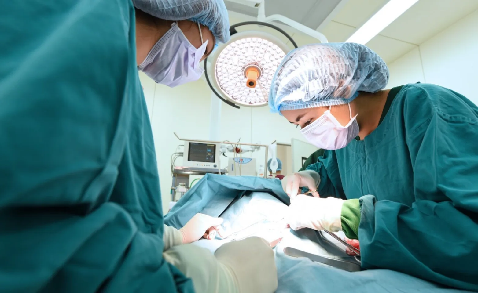 Veterinary surgeons operating on an animal Veterinary surgeons operating on an animal