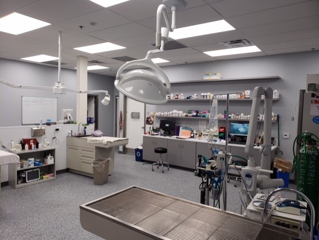 treatment area at Discovery Bay Veterinary Clinic