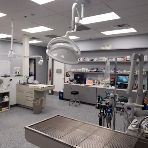 treatment area at Discovery Bay Veterinary Clinic treatment area at Discovery Bay Veterinary Clinic