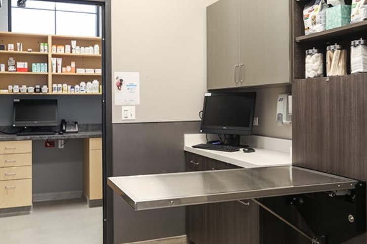 Examination Room at Carriage Animal Hospital