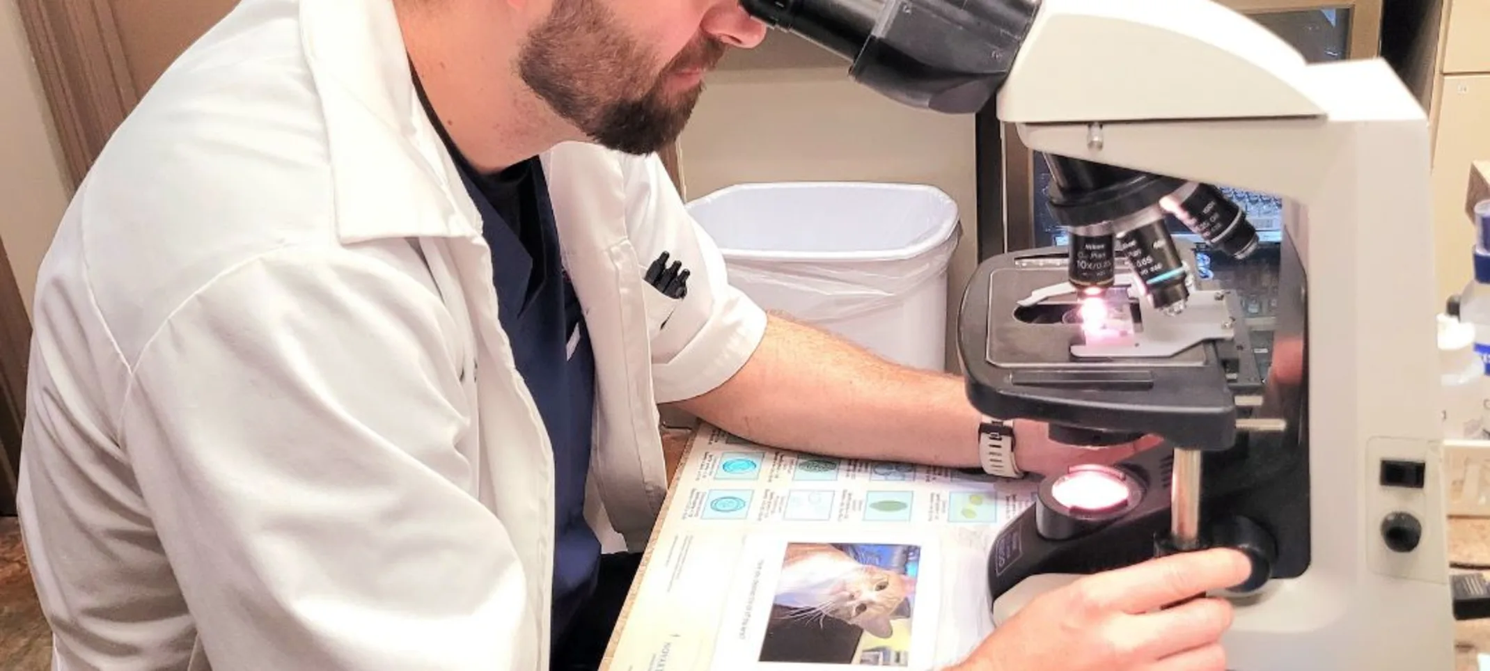 Vet looking through microscope Vet looking through microscope