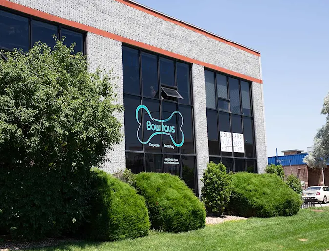 Bowhaus Boulder facility, expert dog daycare, boarding, and grooming services in Boulder, Colorado. Bowhaus Boulder facility, expert dog daycare, boarding, and grooming services in Boulder, Colorado.