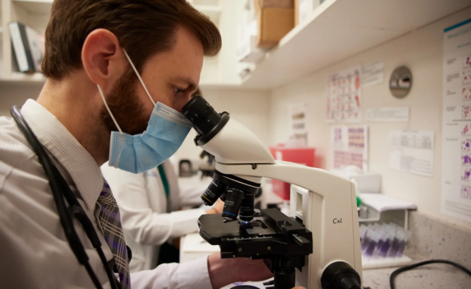Vet Looking through microscope Vet Looking through microscope