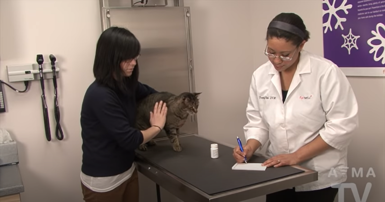 Blood Tests for Pets Video at Hinsdale Animal Hospital