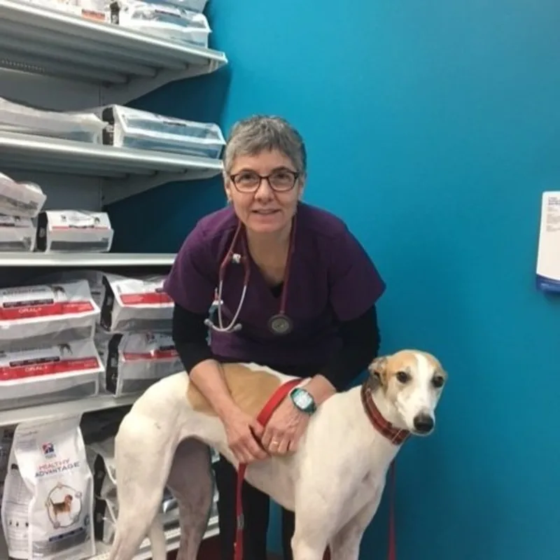 Dr. Jane Eye Dr. Jane Eye