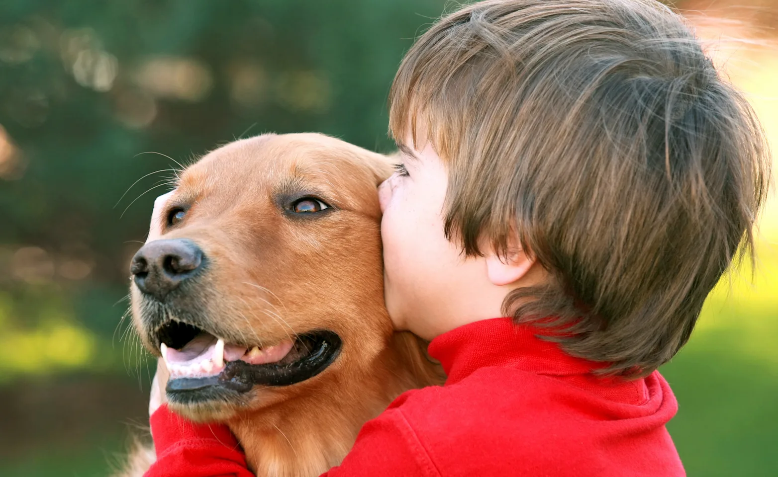 child hugging dog