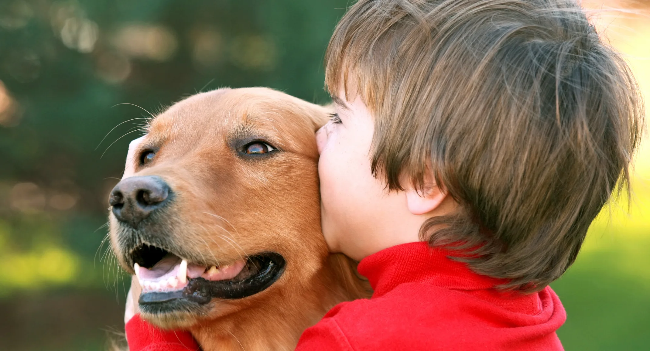 child hugging dog child hugging dog