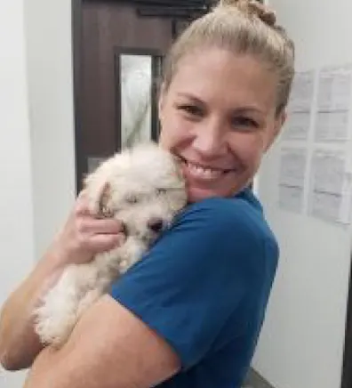 Alexis at Channel Islands Veterinary Hospital / Las Posas Veterinary Medical Center Alexis at Channel Islands Veterinary Hospital / Las Posas Veterinary Medical Center