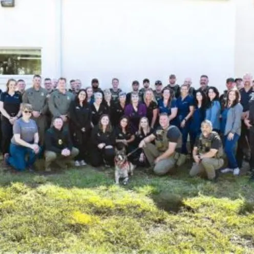 Huk's Rescue Team Huk's Rescue Team