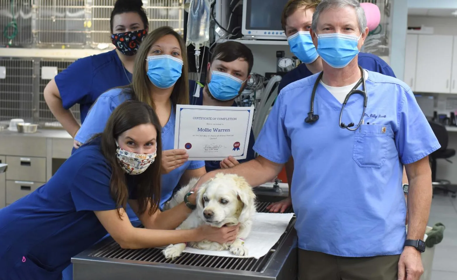 Team at Animal Medical Center of Hattiesburg with small dog. Team at Animal Medical Center of Hattiesburg with small dog.