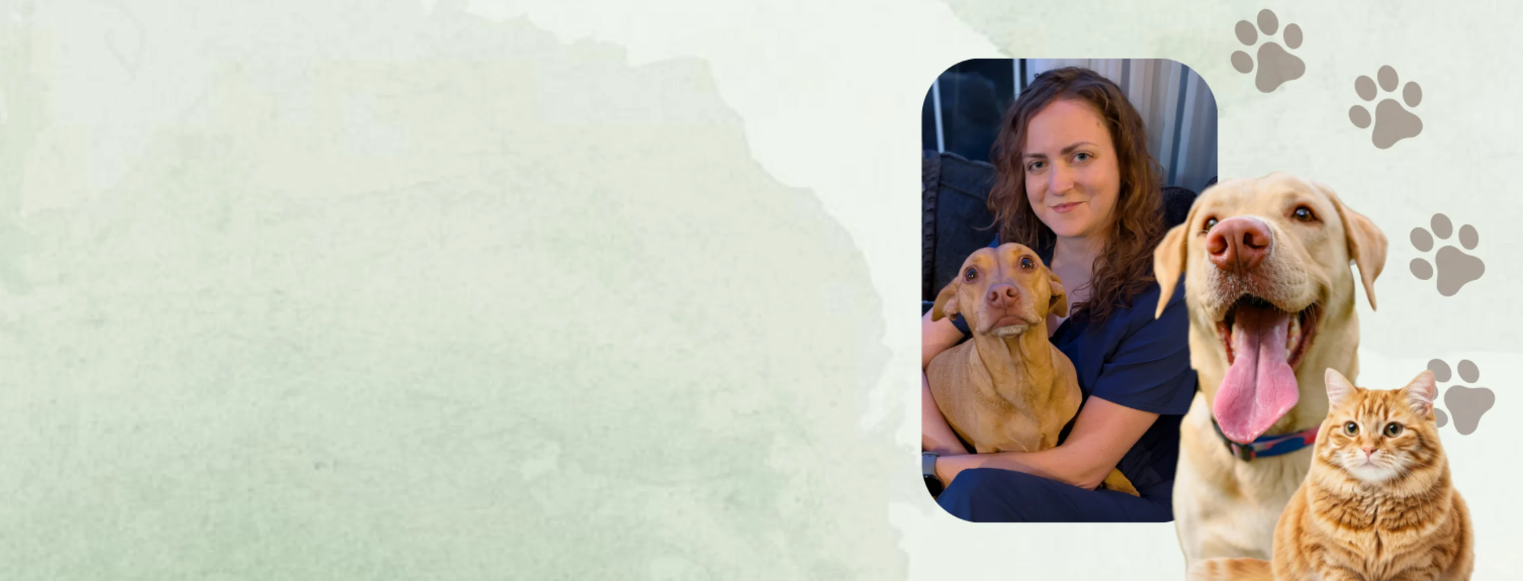 Welcome Dr. Nash! Welcome Dr. Nash!