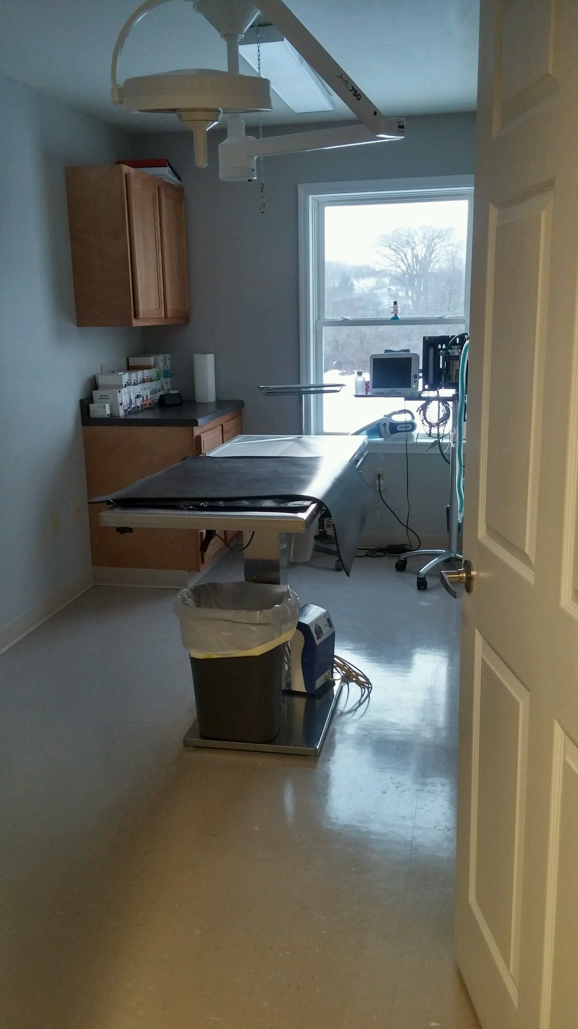 Waterville Veterinary Clinic Exam Room