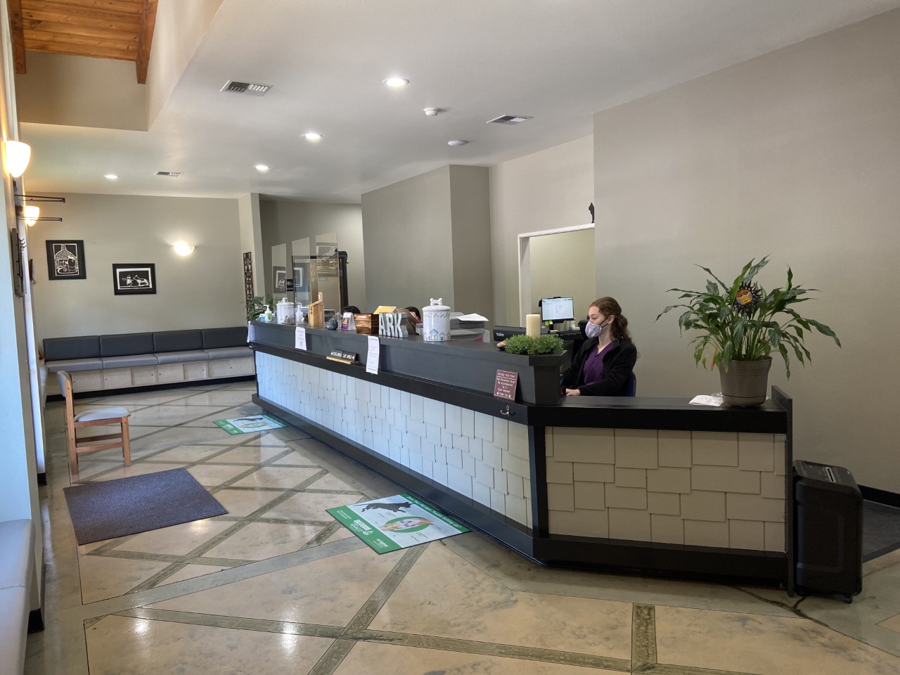 Front desk at The Ark Veterinary Clinic