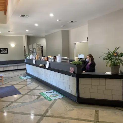 Front desk at The Ark Veterinary Clinic Front desk at The Ark Veterinary Clinic