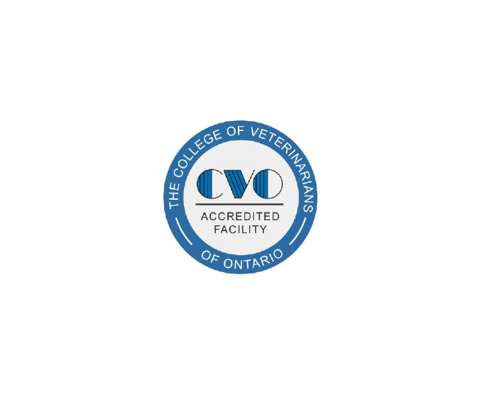 College of Veterinarians of Ontario Accreditation 
