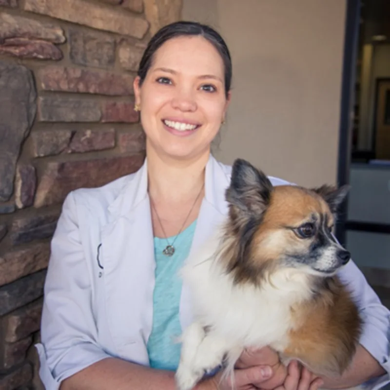 Dr. Jennifer Flick Dr. Jennifer Flick