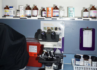 Microscope and injectables at Best Friends Animal Hospital.