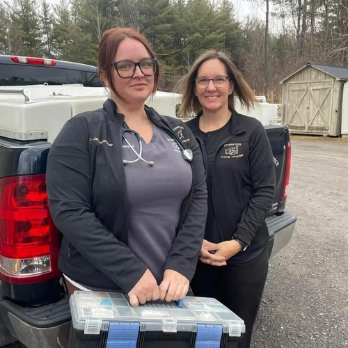 mobile vet care