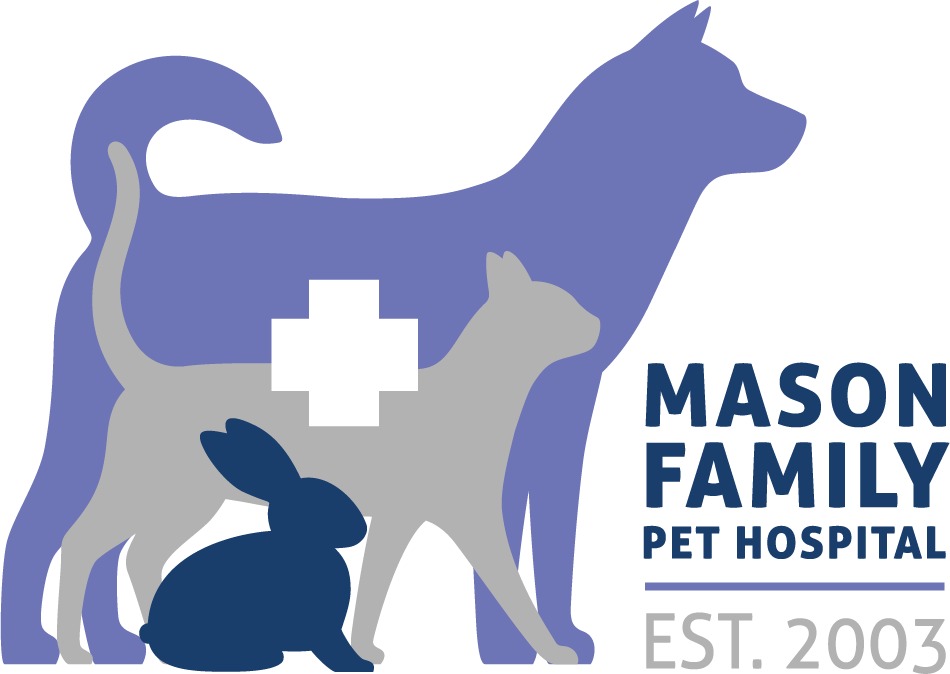 Homepage | Mason Family Pet Hospital